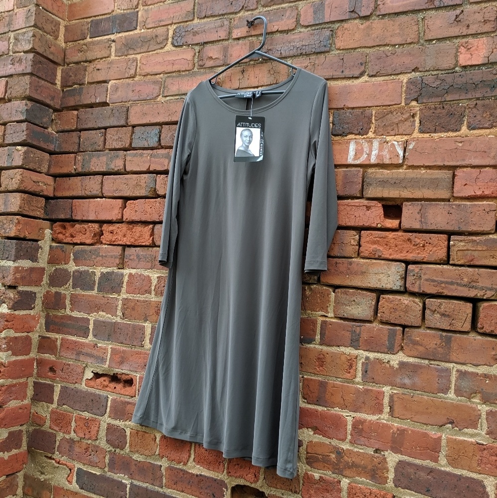 NWT Attitudes by Renee 3/4 sleeve dress